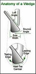 wedge anatomy